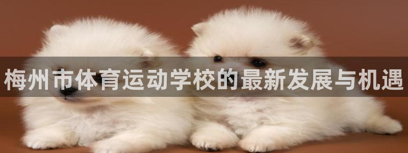 MK体育官方正版app集团logo：梅州市体育运动学