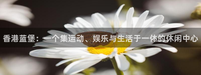 MK体育官网下载招商电话是多少号码：香港蓝堡：一个集