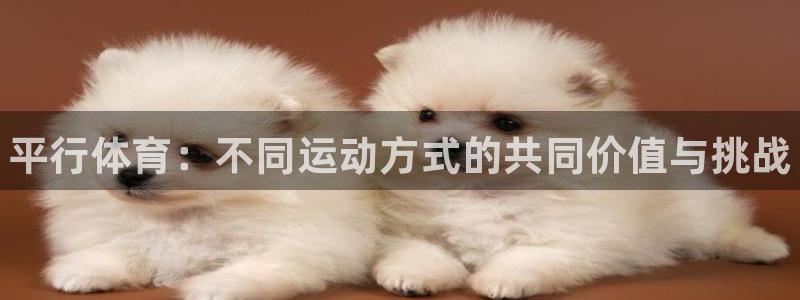 MK体育官网下载平台是正规平台吗：平行体育：不同运动