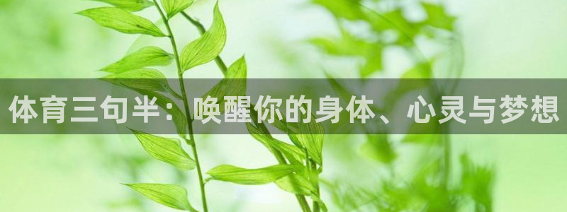 MK体育官方正版app开户：体育三句半：唤醒你的身体
