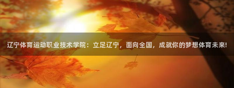 MK体育官方正版app科技：辽宁体育运动职业技术学院