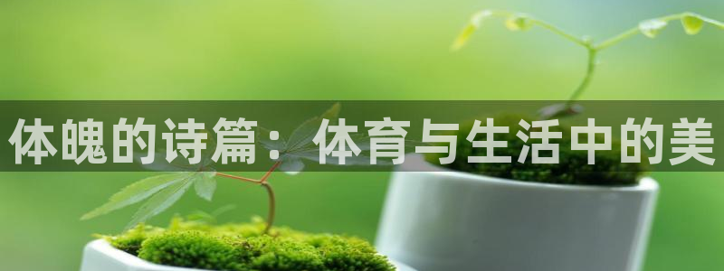 MK体育官网下载招商电话是多少号码：体魄的诗篇：体育