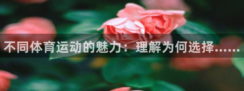 MK体育官网下载：不同体育运动的魅力：理解为何选择…