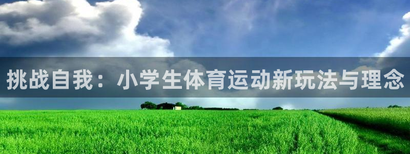 MK体育官方正版app娱乐网站：挑战自我：小学生体育