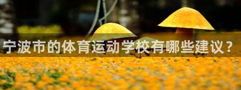 MK体育官网下载招商电话是多少：宁波市的体育运动学校