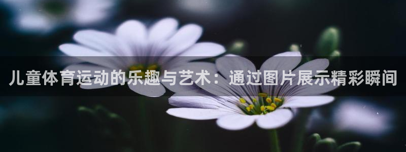 MK体育官网下载招商电话号码查询是多少：儿童体育运动