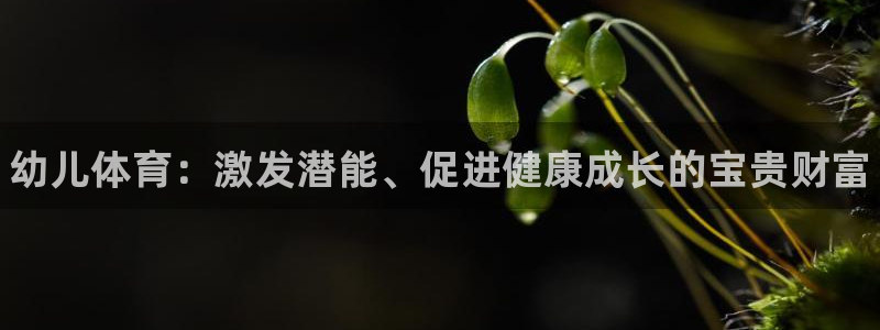 MK体育官方正版app集团logo：幼儿体育：激发潜