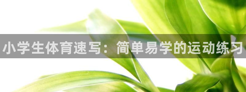 MK体育官方正版app科技：小学生体育速写：简单易学