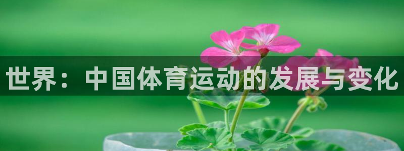 MK体育官方正版app娱乐代理怎么样：世界：中国体育