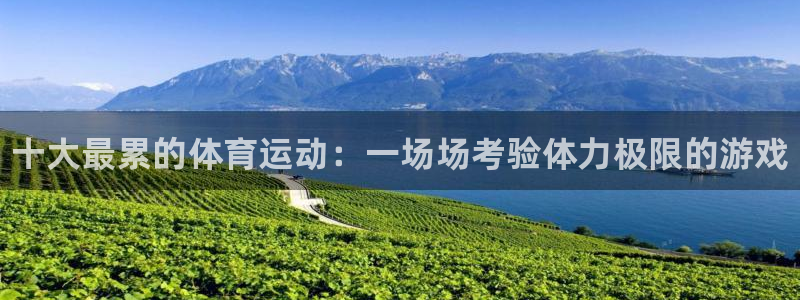 MK体育官网下载平台注册流程视频：十大最累的体育运动