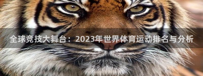 MK体育官网下载软件