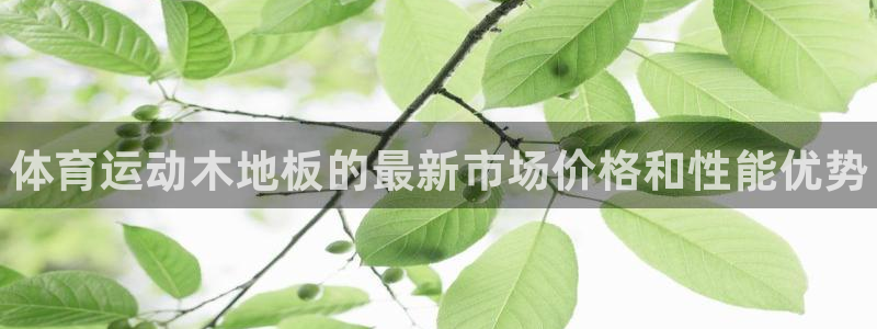 MK体育官方正版app官方