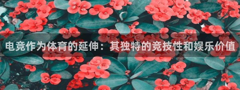 MK体育官方正版app神州：电竞作为体育的延伸：其独特的竞技