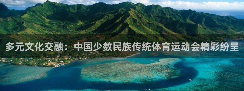 MK体育官方正版app代理