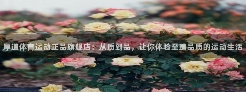 MK体育官网下载平台假的吗是真的吗吗：厚道体育运动正