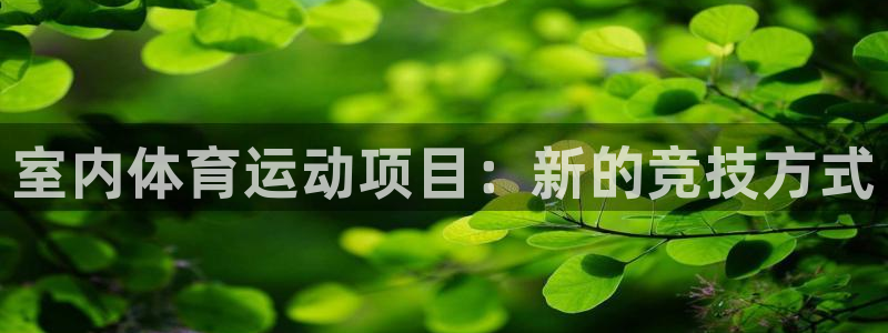 MK体育官方正版app集团：室内体育运动项目：新的竞技方式