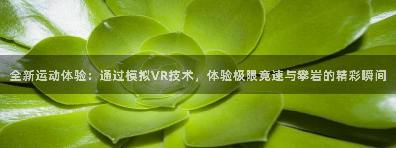 MK体育官网下载招商电话是多少啊：全新运动体验：通过模拟VR