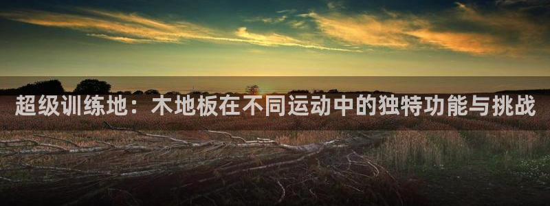 MK体育官方正版app集团官网网址：超级训练地：木地