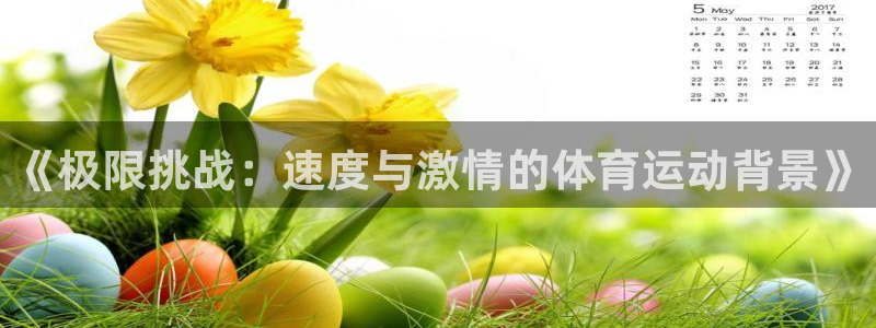 MK体育官网下载招商电话地址是多少:《极限挑战:速度与激情的