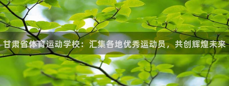 MK体育官网下载平台是正规平台吗:甘肃省体育运动学校:汇集各