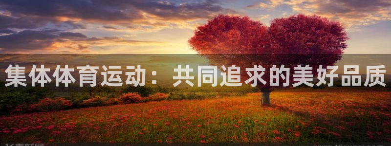 MK体育官网下载平台注册要钱吗是真的吗:集体体育运动:共同追