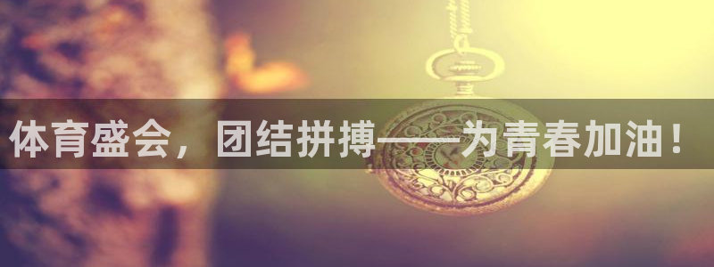 MK体育官方正版app娱乐是那个系列的台子:体育盛会,团结拼