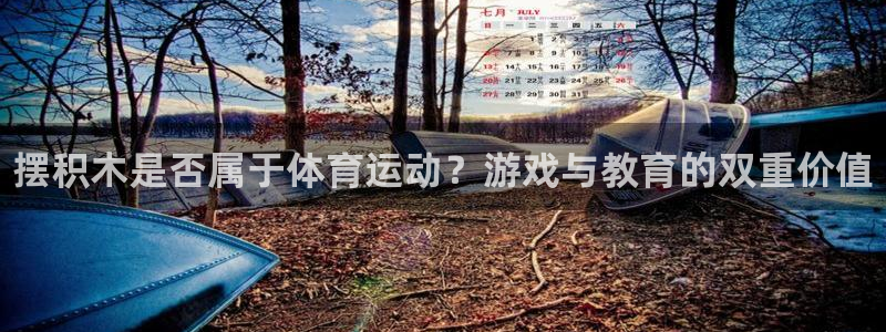 MK体育官网下载软件:摆积木是否属于体育运动?游戏与教育的双