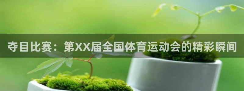 MK体育官方正版app娱乐下载:夺目比赛:第XX届全国体育运